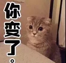 朱莉阿娜健美_茱莉亚肌肉_茱莉亚健身