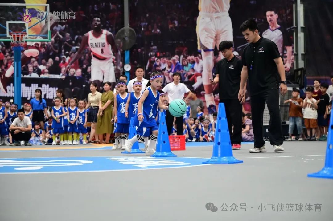 篮球技能幼儿园_篮球实战教案_篮球技巧实战教学幼儿园宣传