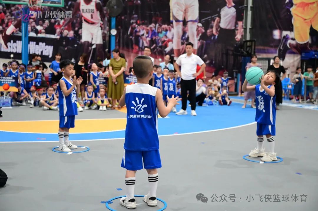 篮球实战教案_篮球技能幼儿园_篮球技巧实战教学幼儿园宣传
