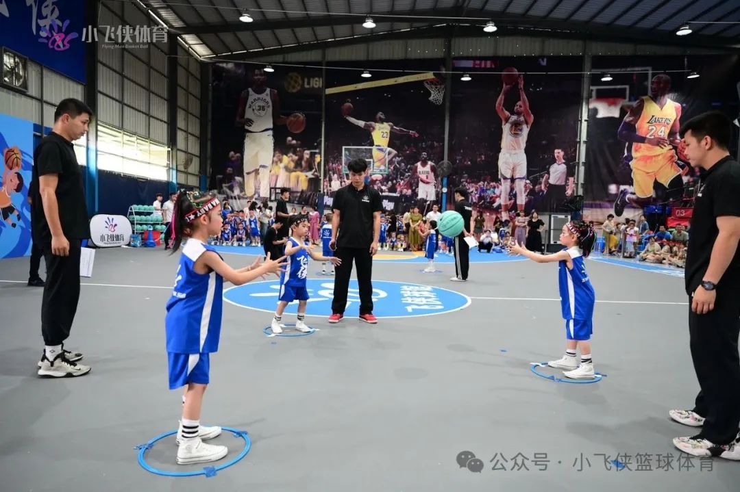 篮球实战教案_篮球技能幼儿园_篮球技巧实战教学幼儿园宣传
