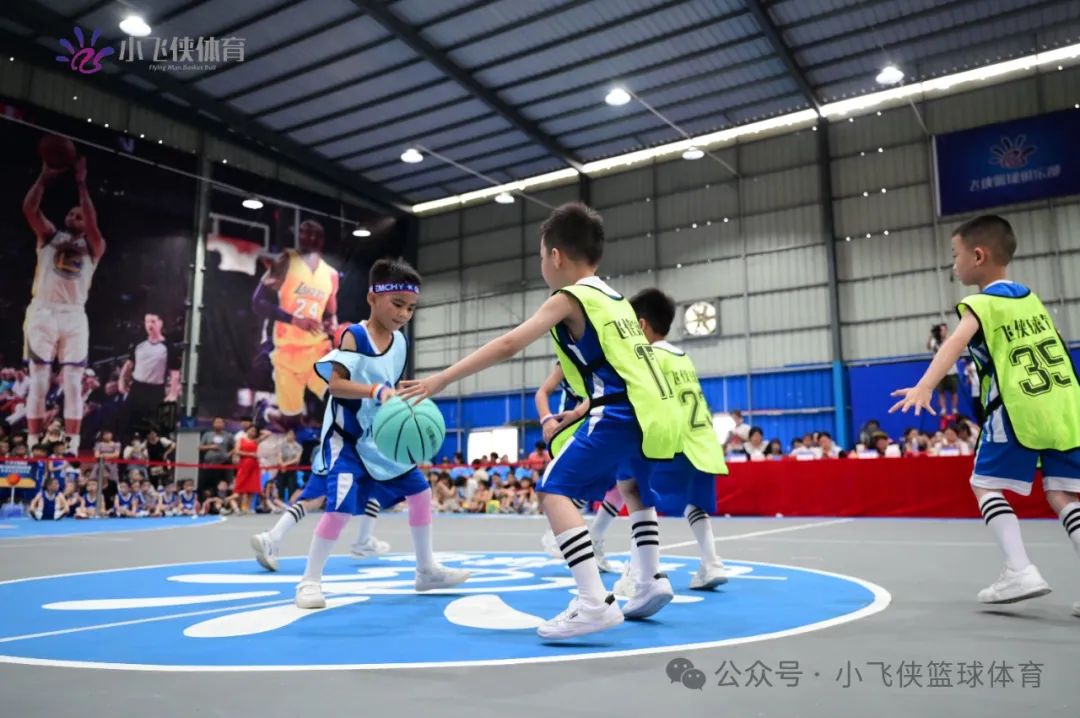 篮球技能幼儿园_篮球技巧实战教学幼儿园宣传_篮球实战教案
