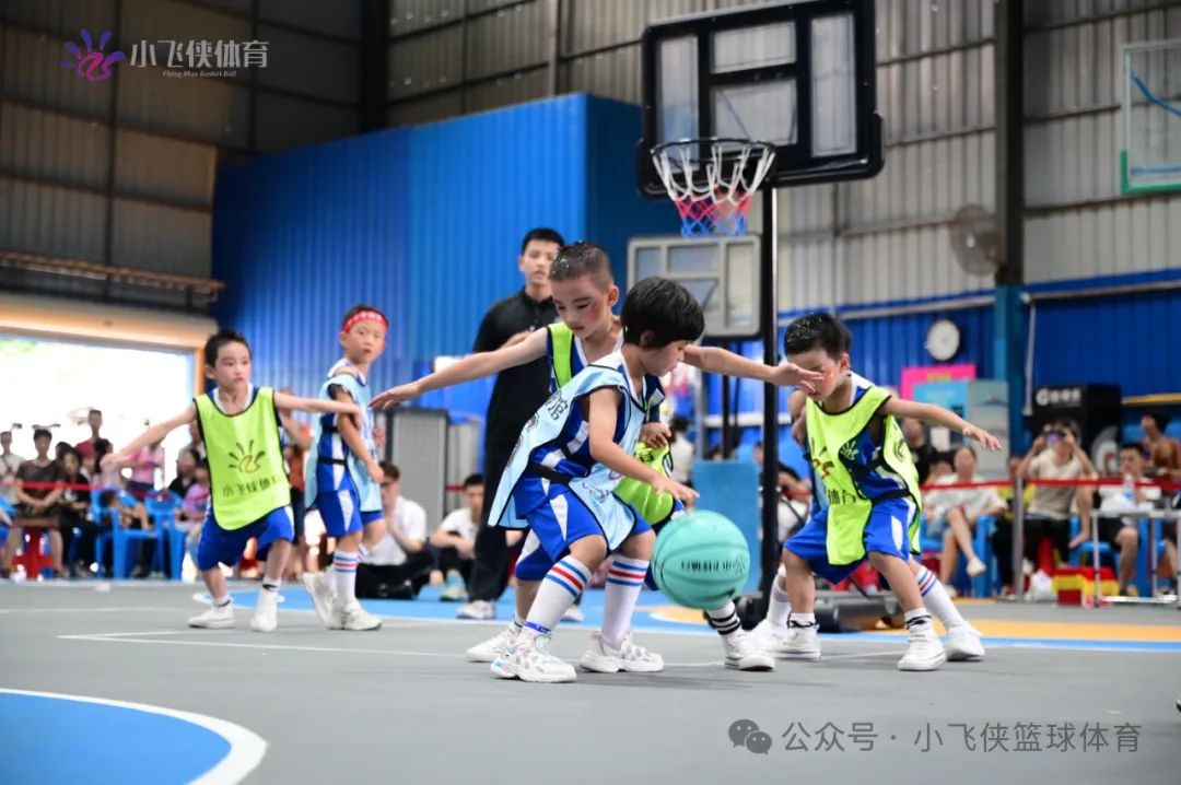篮球实战教案_篮球技能幼儿园_篮球技巧实战教学幼儿园宣传